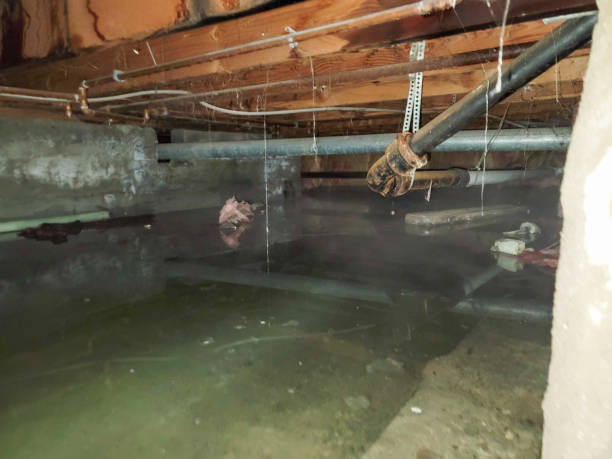 Best Water damage mitigation services  in Georgetown, PA