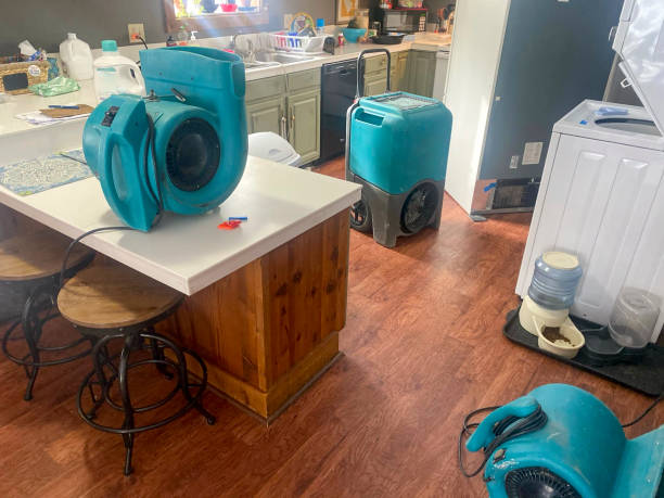 Best Water damage contractors near me  in Georgetown, PA