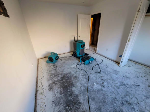 Best Water damage restoration specialists  in Georgetown, PA