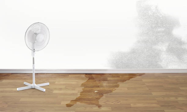 Best 24-hour water damage restoration  in Georgetown, PA