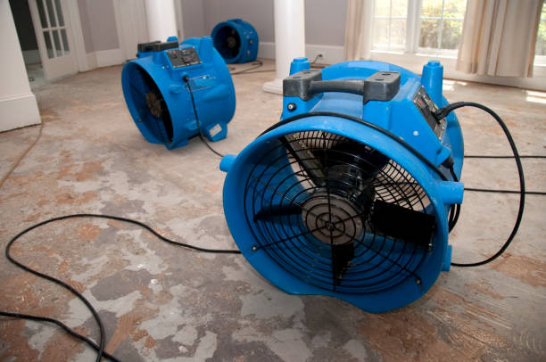 Best Carpet water damage restoration  in Georgetown, PA