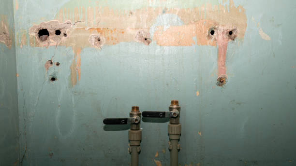 Best Flood damage cleanup  in Georgetown, PA