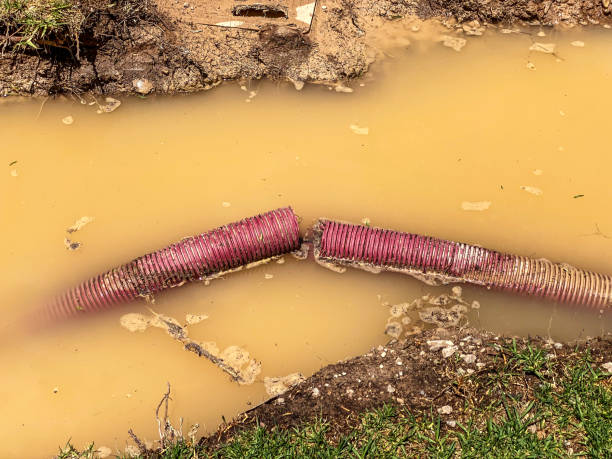 Best Sewage cleanup and water damage restoration  in Georgetown, PA